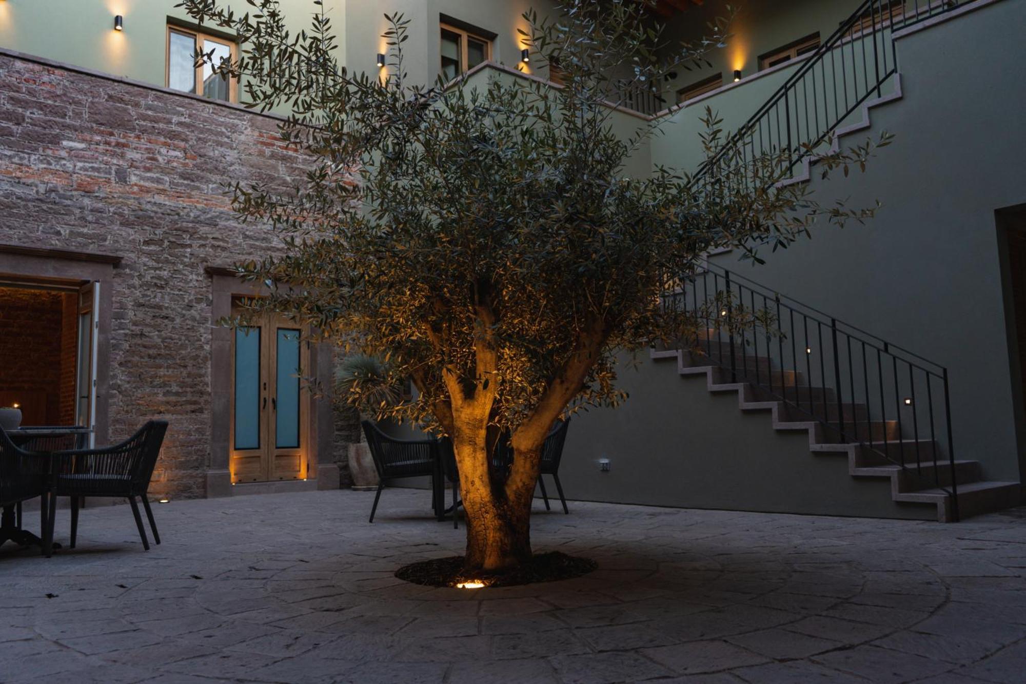 Hotel Casa Aranzazu San Luis Potosí Eksteriør billede