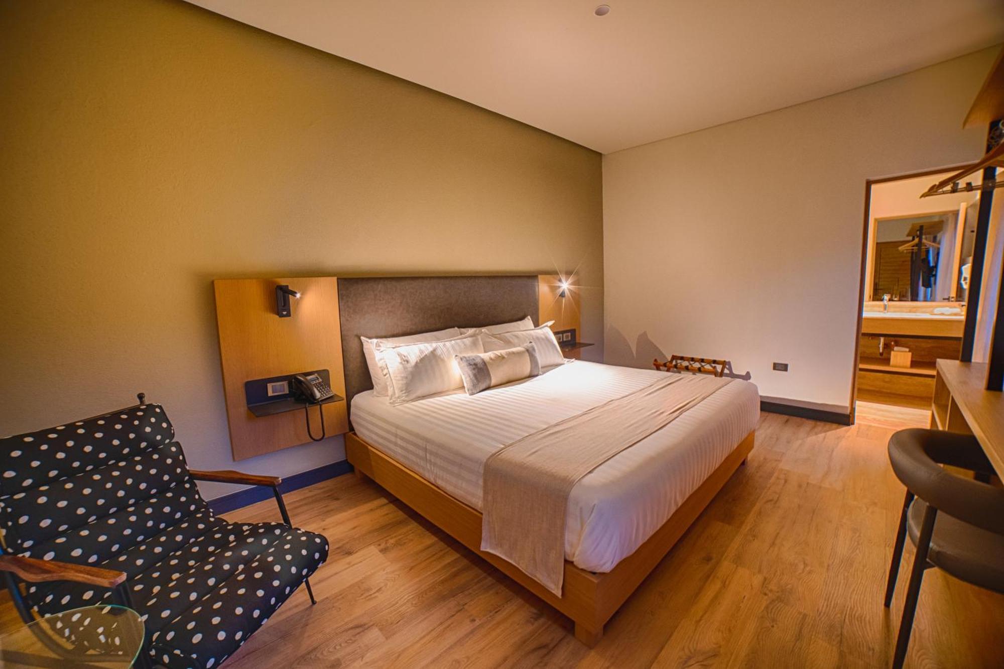 Hotel Casa Aranzazu San Luis Potosí Eksteriør billede